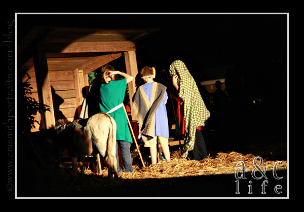 jesseblog-018 jesseblog-018